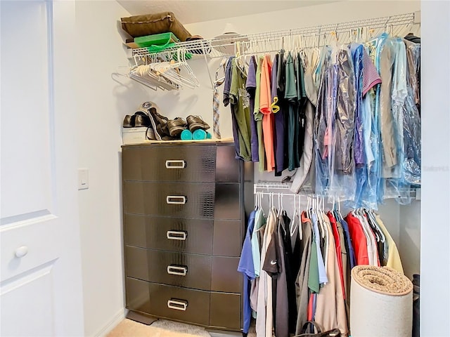 view of walk in closet