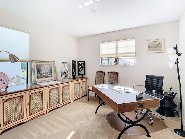 carpeted home office featuring a healthy amount of sunlight