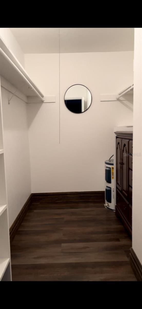 walk in closet with dark hardwood / wood-style floors