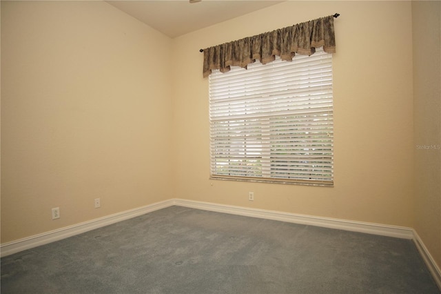 spare room featuring a healthy amount of sunlight and carpet floors