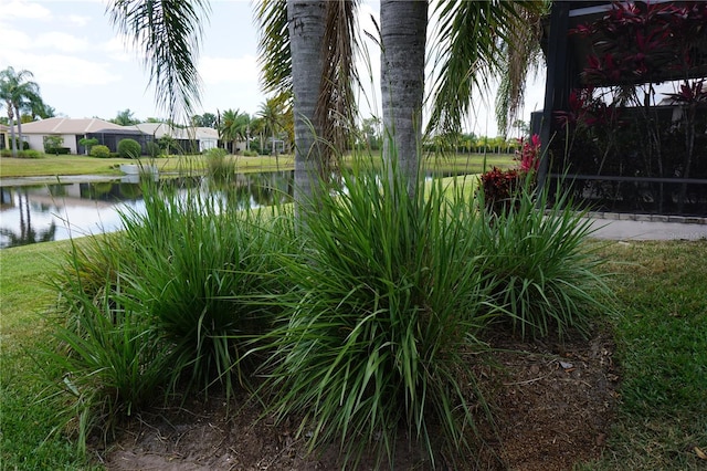 view of yard featuring a water view