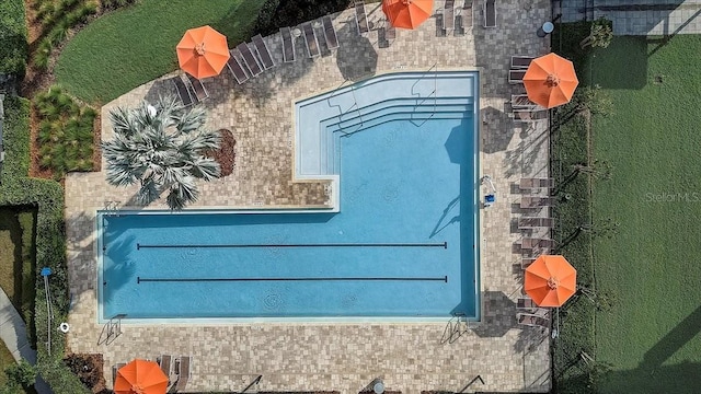 6619 Current Dr, Apollo Beach, FL 33572 - photo 53