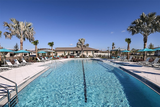 view of swimming pool featuring a patio area