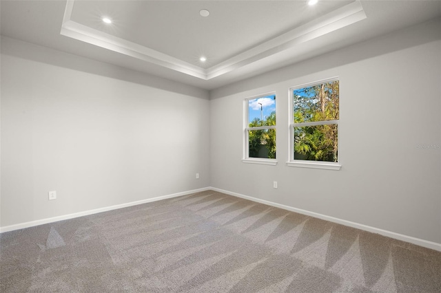 empty room with carpet floors and a raised ceiling