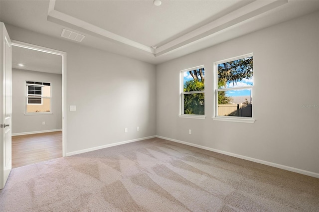 unfurnished room featuring a raised ceiling and light colored carpet