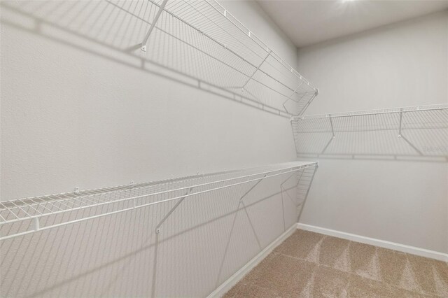 walk in closet featuring carpet