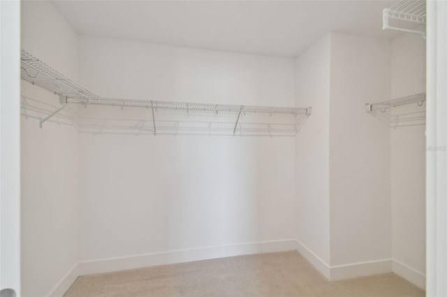 spacious closet featuring light colored carpet