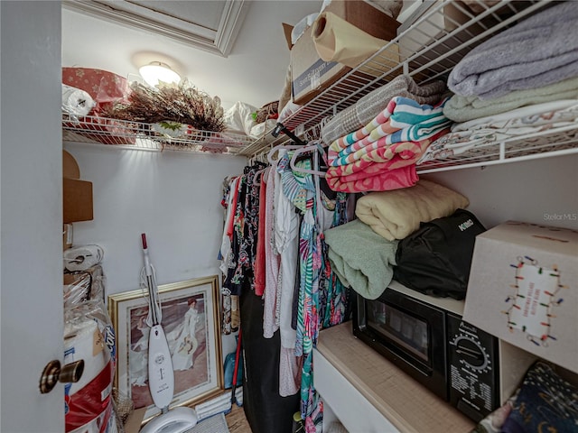 view of spacious closet