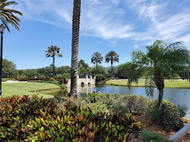 view of home's community with a water view