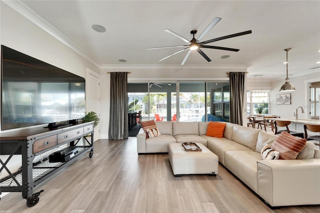 living room with ceiling fan, sink, ornamental molding, and light hardwood / wood-style floors