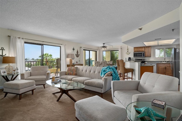 living room with a textured ceiling and carpet