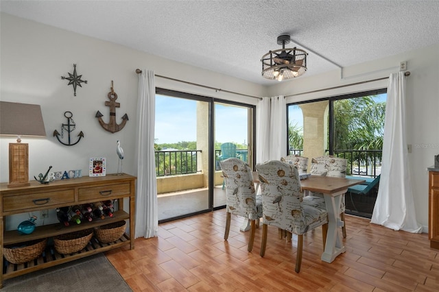 dining room featuring a wealth of natural light, light hardwood / wood-style floors, and a textured ceiling