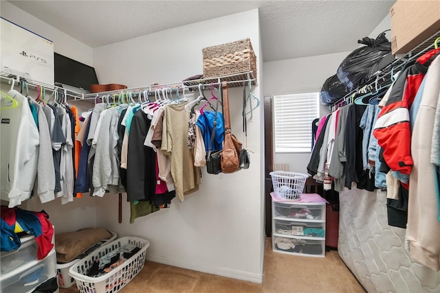 walk in closet featuring light carpet