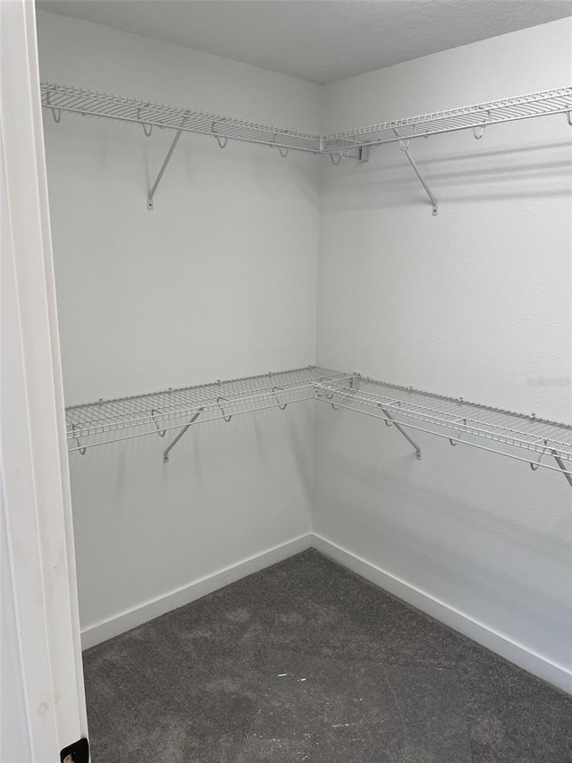 walk in closet featuring dark carpet