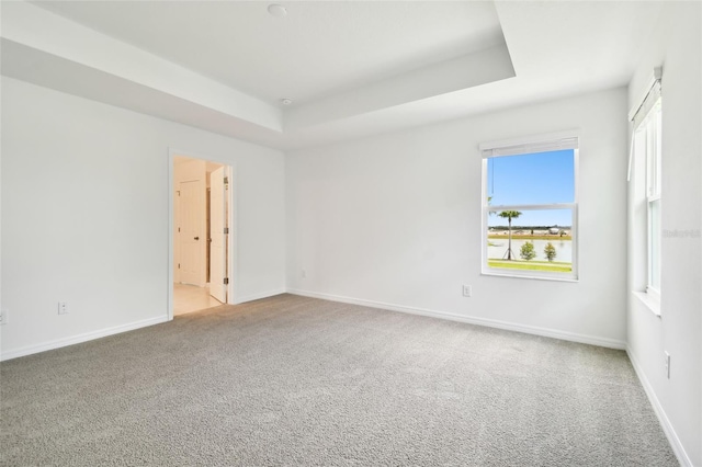 empty room featuring a raised ceiling and carpet flooring