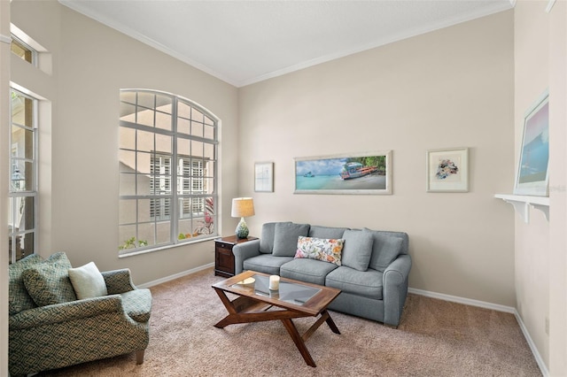 living room with ornamental molding and carpet