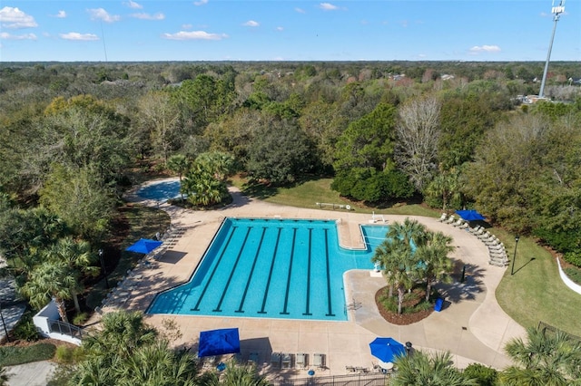 view of swimming pool with a patio