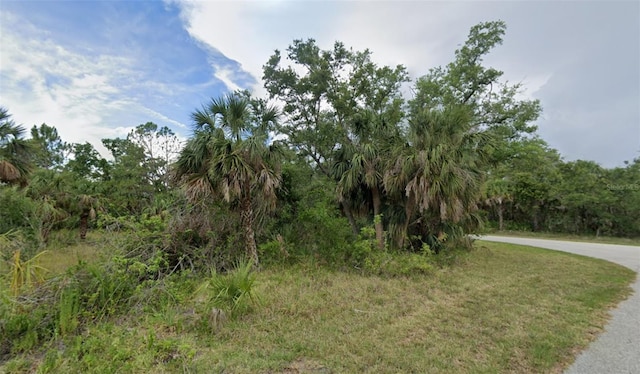 17029 Alvin Ave, Port Charlotte FL, 33948 land for sale