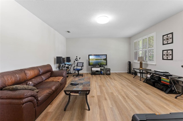 living room featuring light hardwood / wood-style flooring