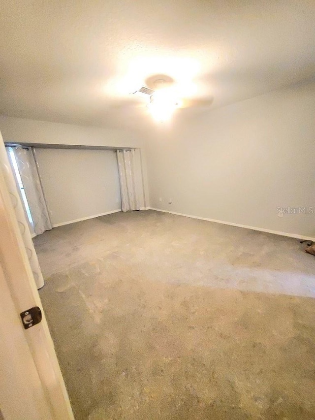 basement featuring carpet floors