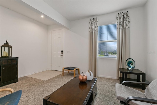 living room featuring carpet