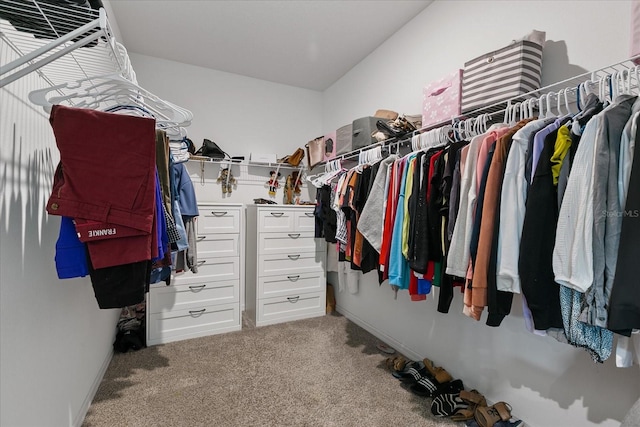 spacious closet with carpet floors