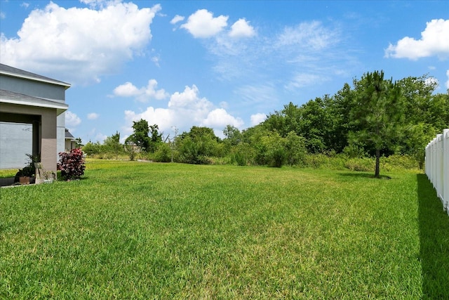 view of yard