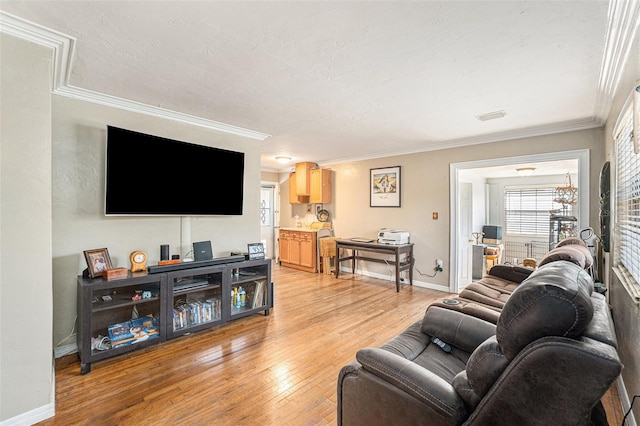 living room featuring light hardwood / wood-style floors and ornamental molding