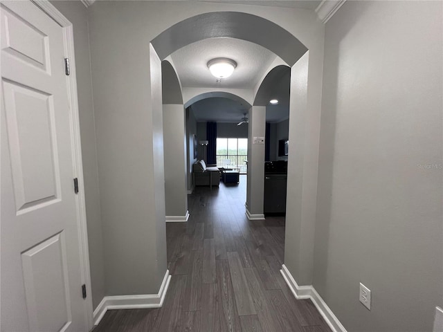 corridor with dark hardwood / wood-style flooring