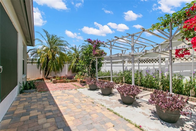 view of patio / terrace with a pergola