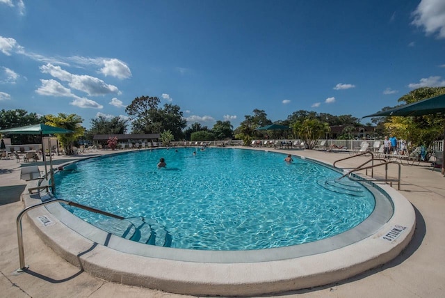 view of swimming pool featuring a patio