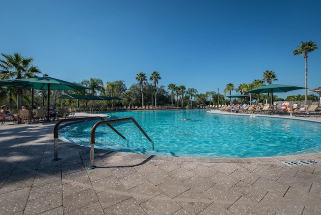 view of swimming pool featuring a patio area