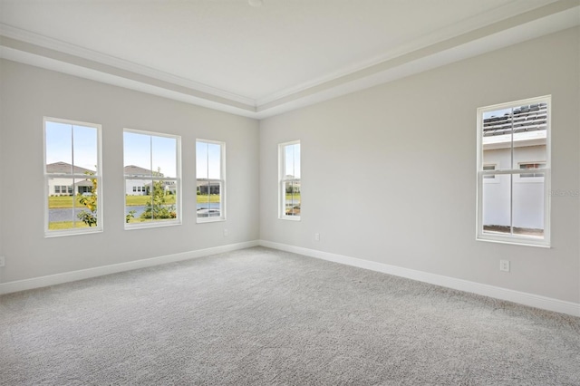 carpeted empty room featuring a raised ceiling and baseboards