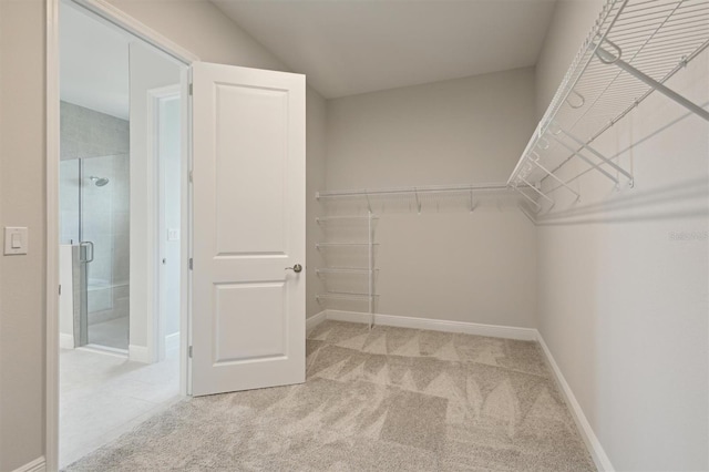 walk in closet with light colored carpet