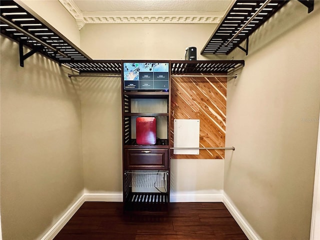 walk in closet featuring hardwood / wood-style floors