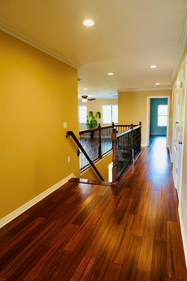 interior space featuring ornamental molding and dark hardwood / wood-style flooring