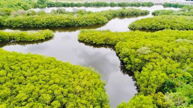 aerial view with a water view