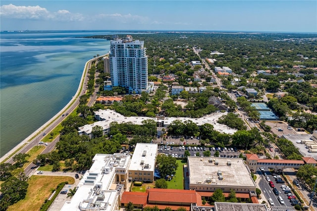 drone / aerial view with a water view