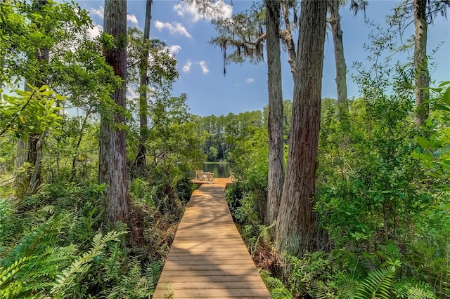 view of property's community featuring a water view