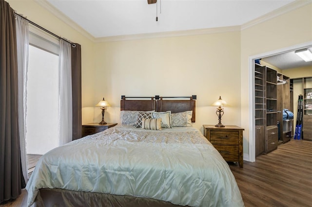 bedroom featuring ornamental molding, a closet, dark hardwood / wood-style flooring, and a spacious closet