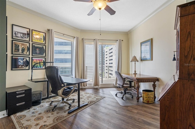 office with plenty of natural light, dark wood-type flooring, and crown molding