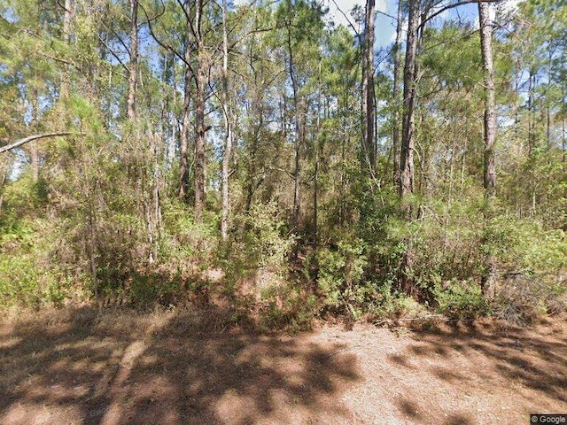 306 Carteret Rd, Georgetown FL, 32139 land for sale