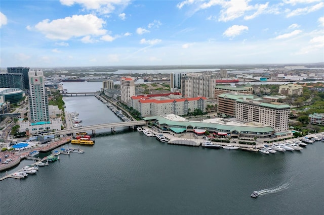 bird's eye view with a water view