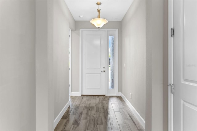 foyer entrance with wood-type flooring