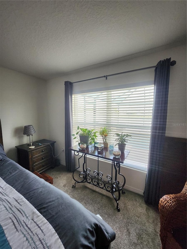 bedroom featuring a textured ceiling, carpet, and multiple windows