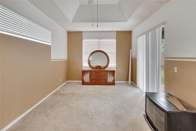 interior space with carpet and a raised ceiling