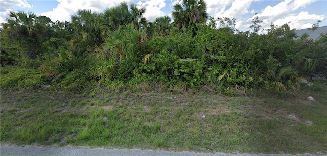 1255 Augusta St E, Lehigh Acres FL, 33974 land for sale