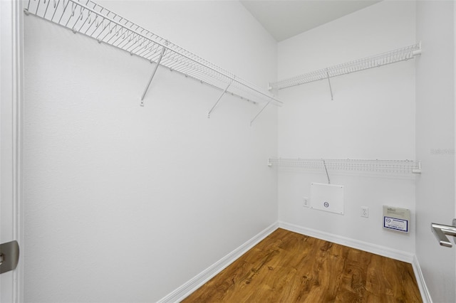 spacious closet featuring wood-type flooring