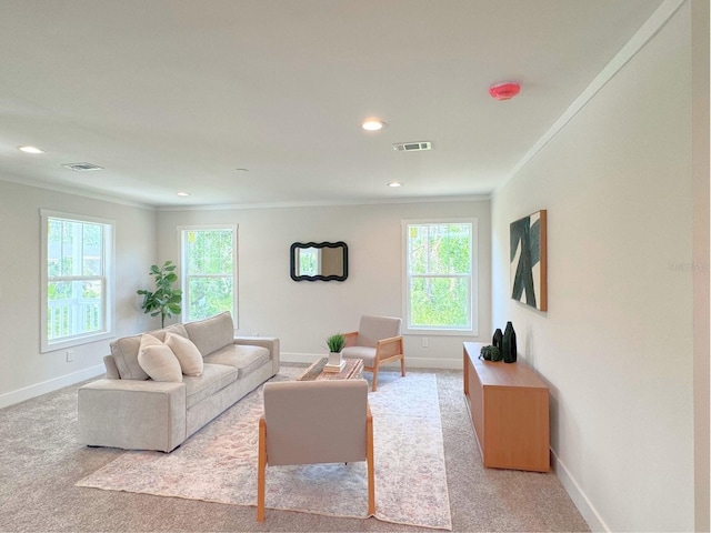 living room with crown molding, carpet flooring, and plenty of natural light