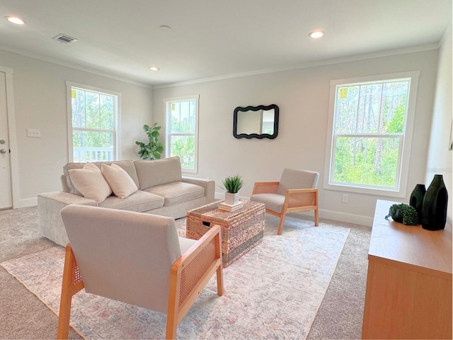 carpeted living room with plenty of natural light and crown molding